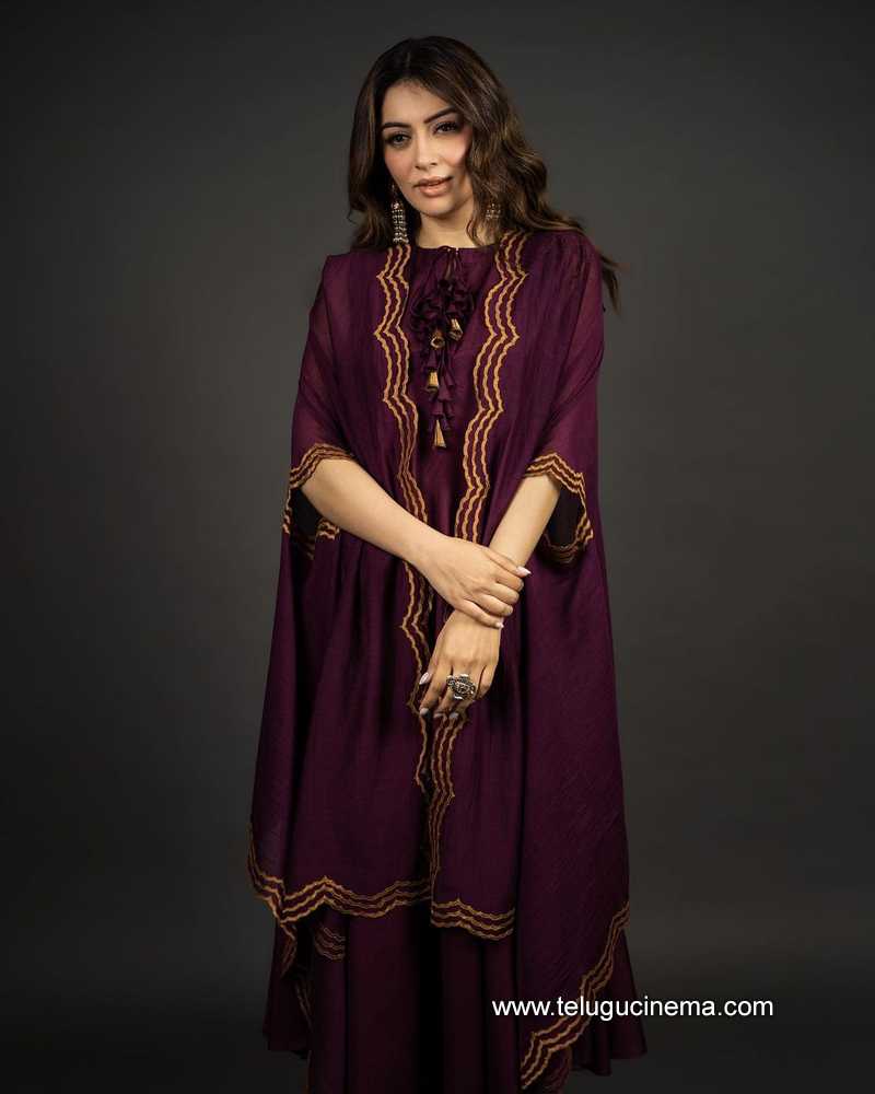 hansika stills 210122 005
