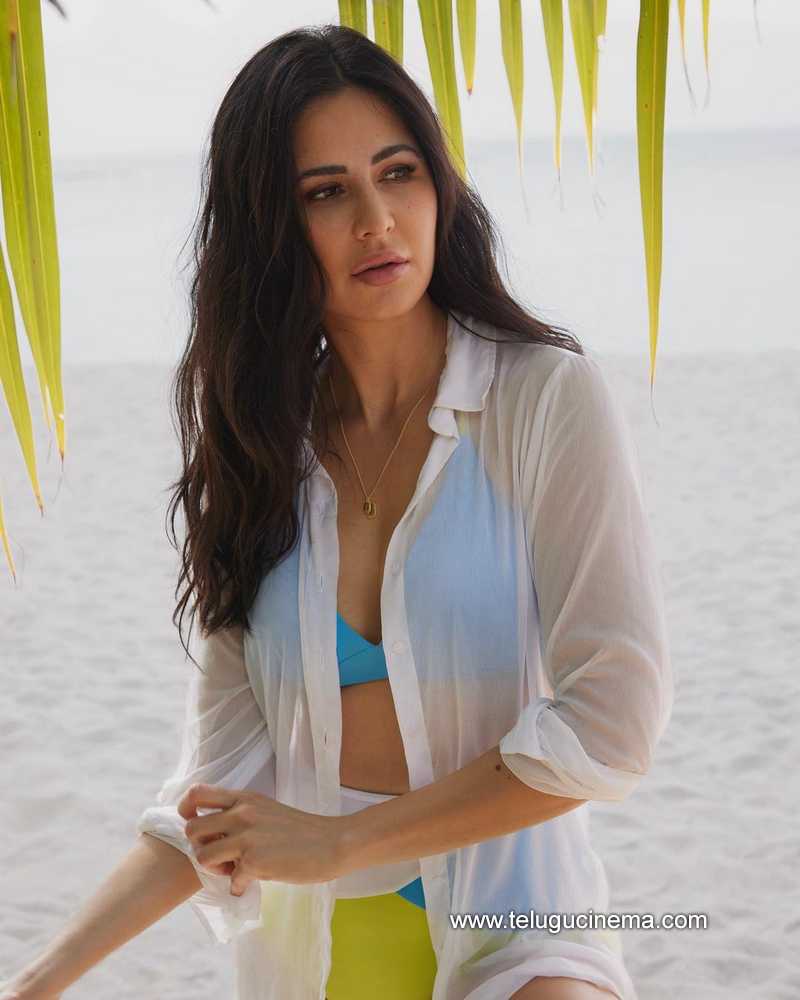 katrinakaif stills 250122 001