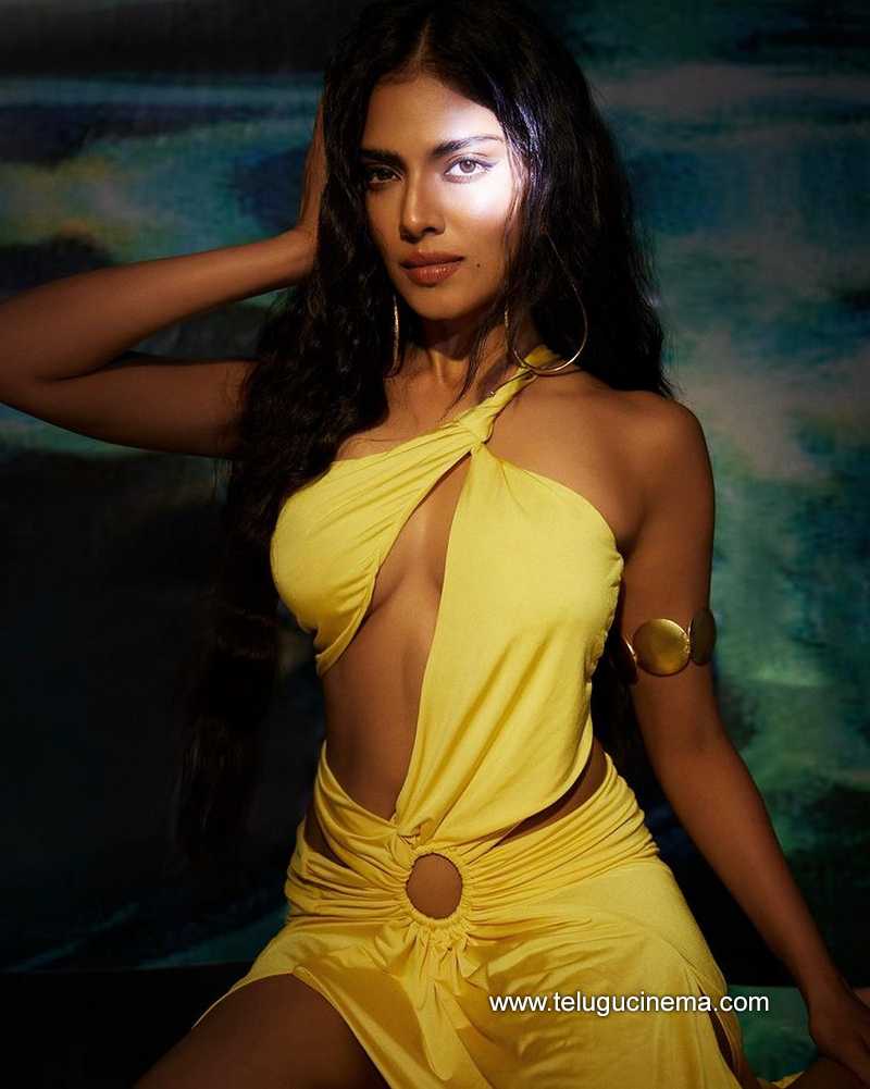 malavikamohanan stills 22 12 22 004