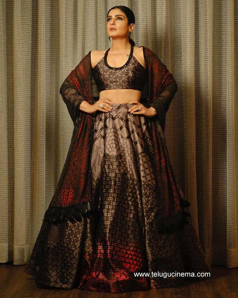 raveena stills 280123 005