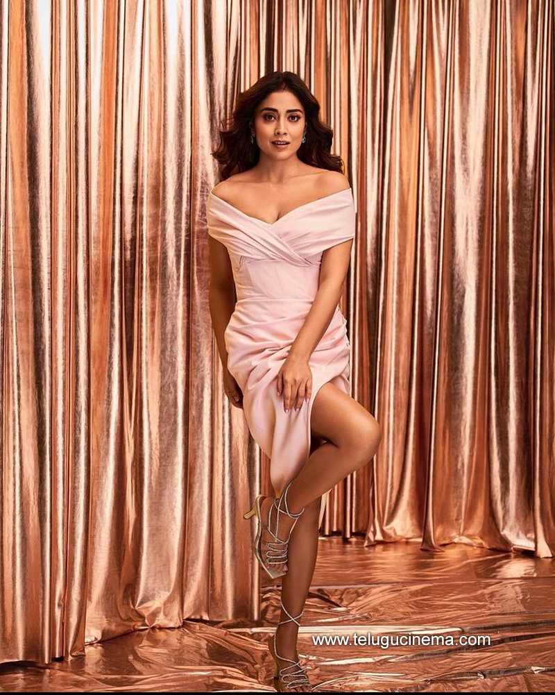 shriya stills 040123 003