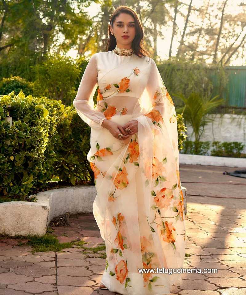 aditirao stills 250323 004