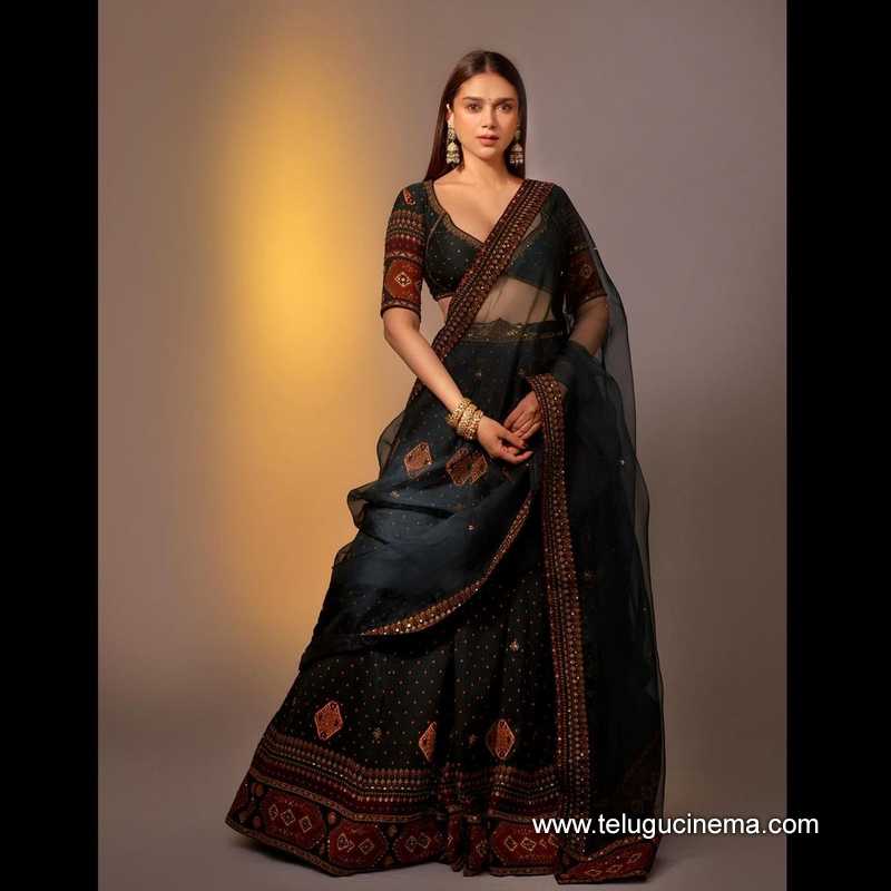 aditi stills 200124 003