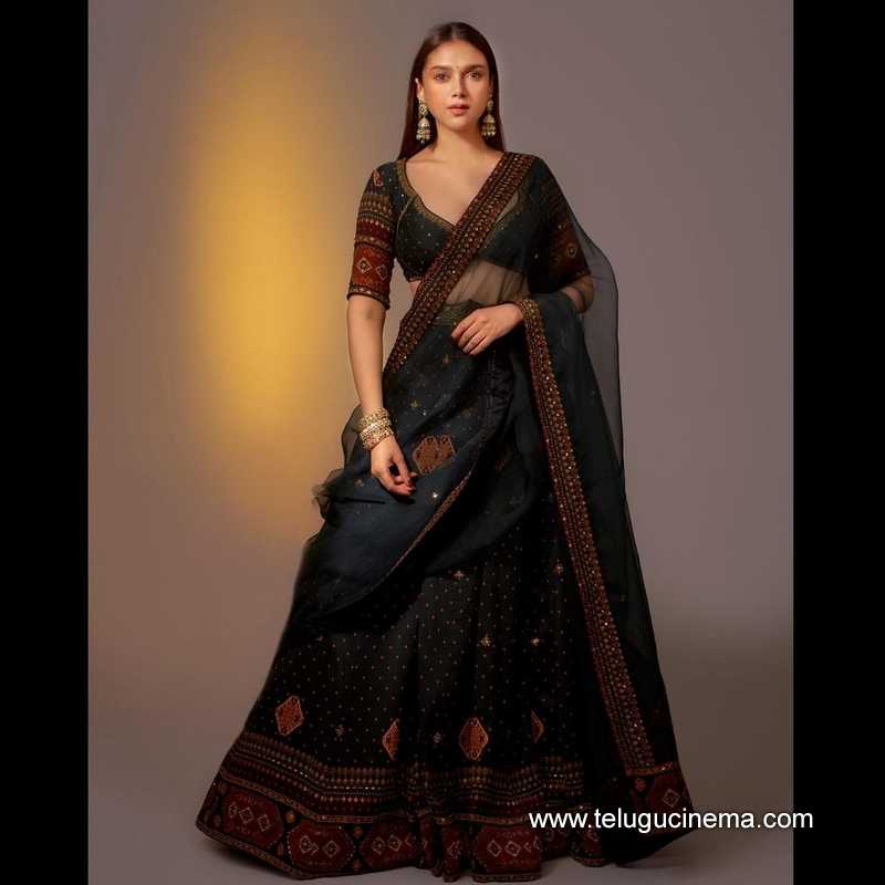 aditi stills 200124 004