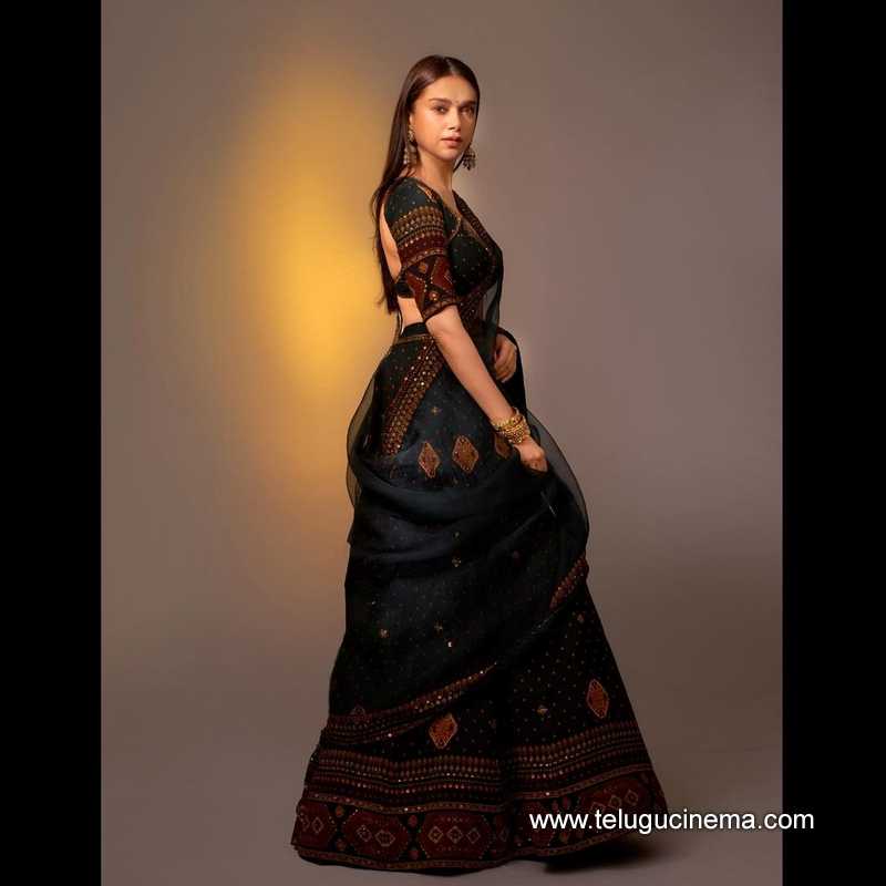 aditi stills 200124 005