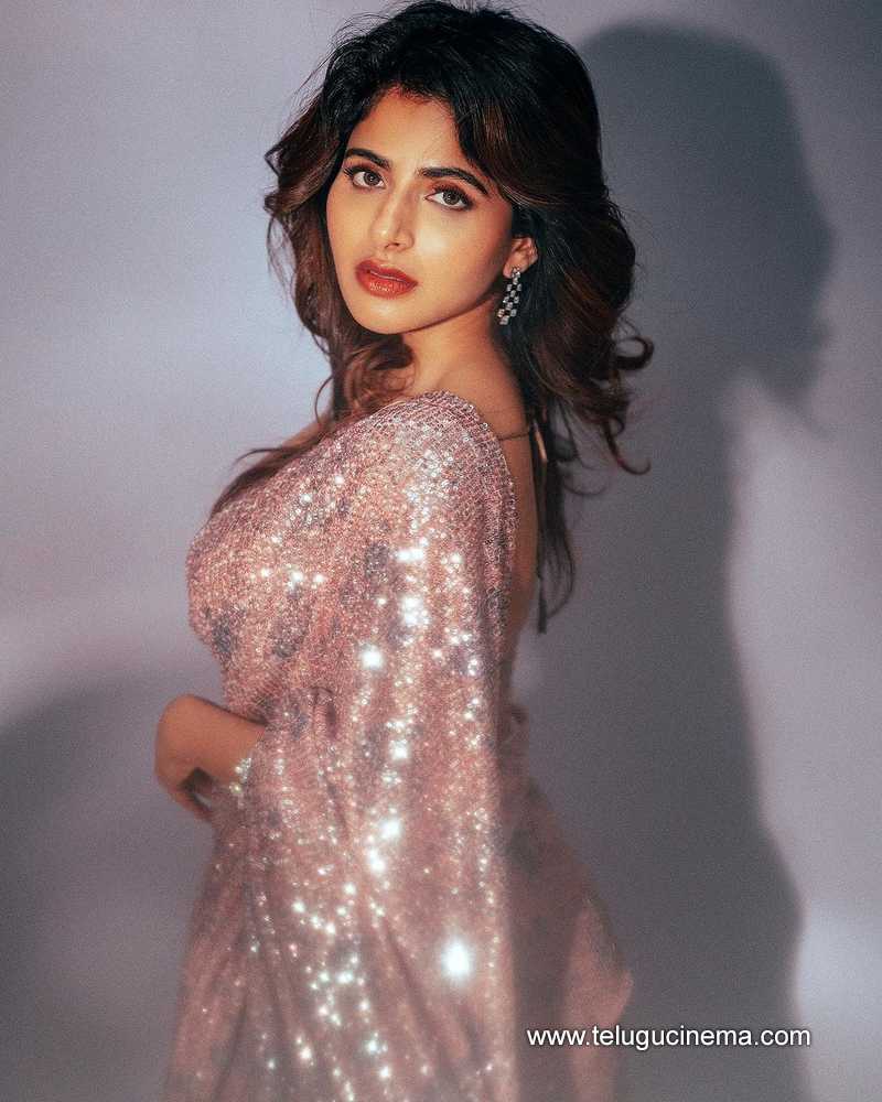 iswarya stills 020124 002