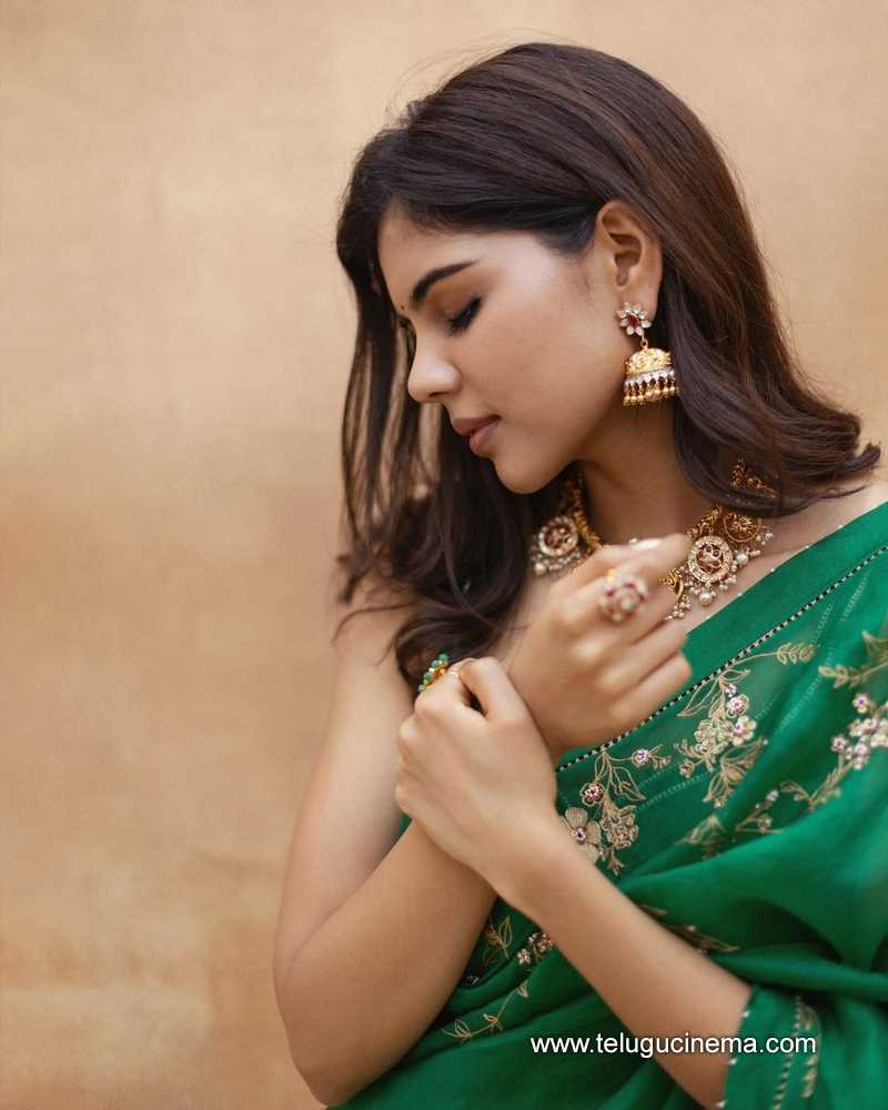 kalyani stills 130124 002