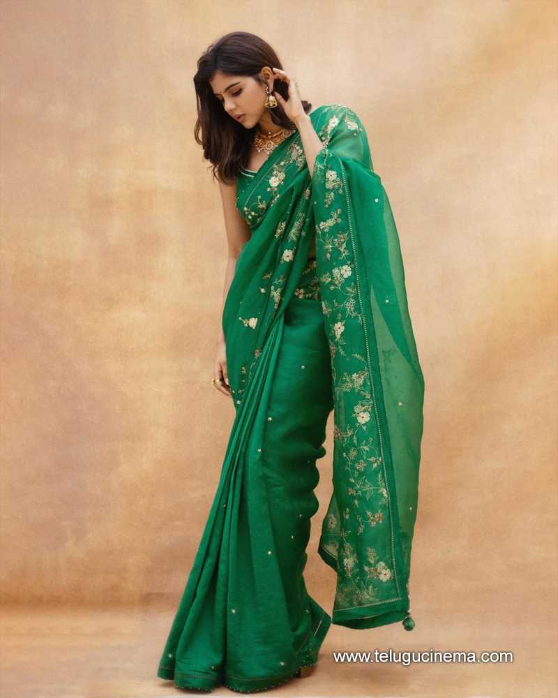 kalyani stills 130124 003