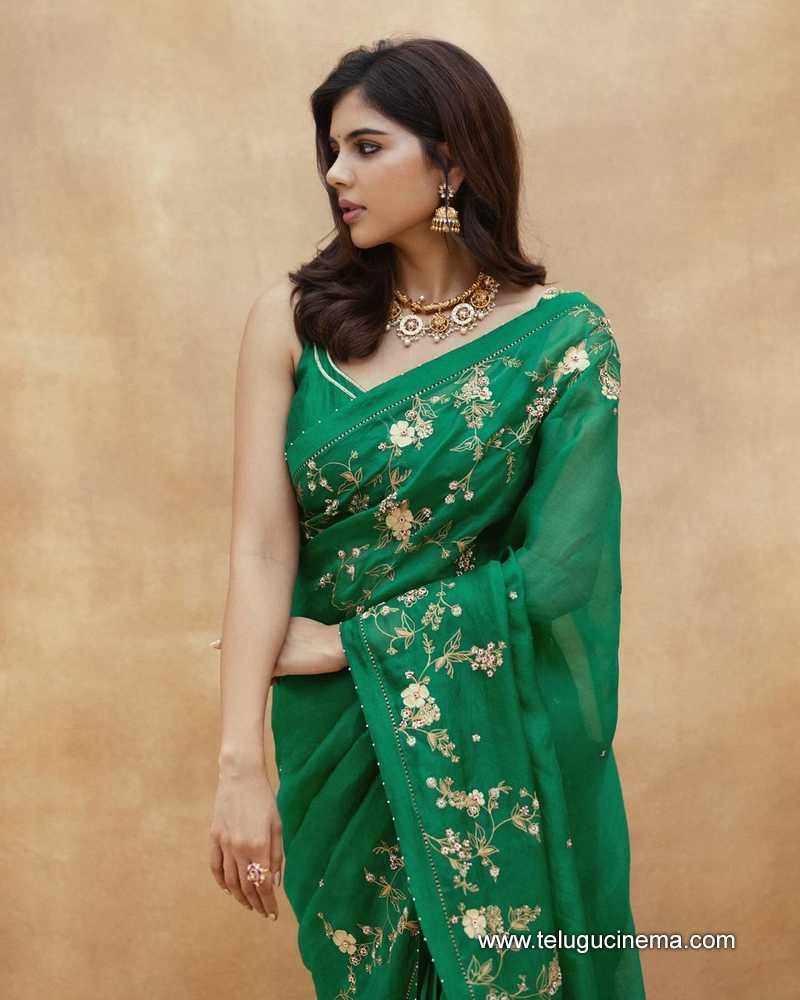 kalyani stills 130124 004