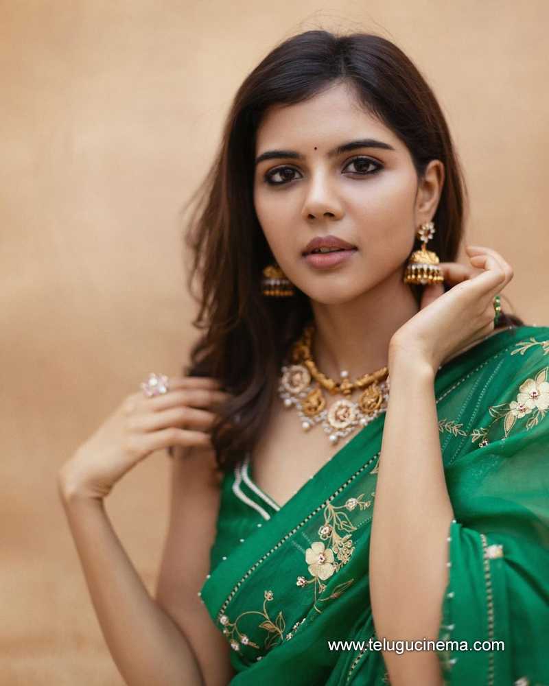 kalyani stills 130124 005