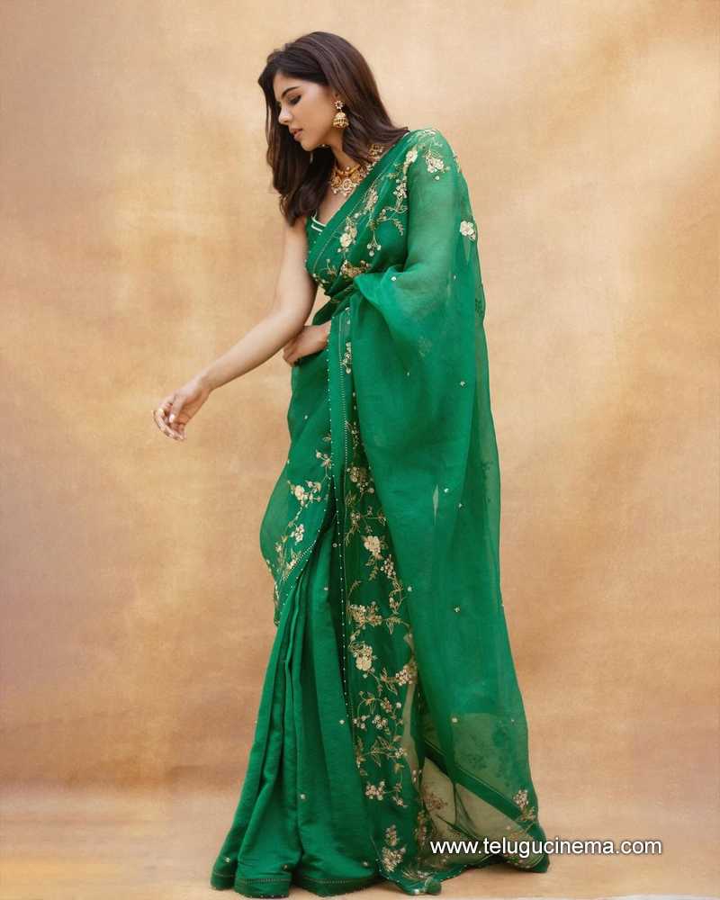 kalyani stills 130124 006