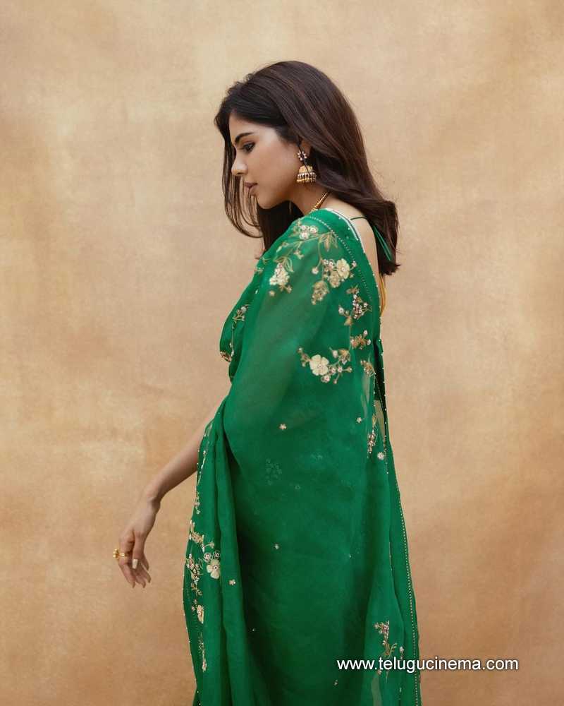 kalyani stills 130124 007