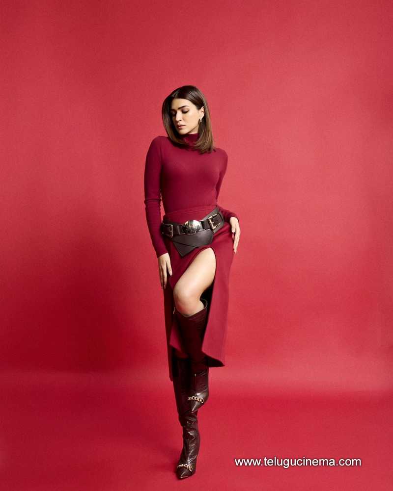 kritisanon stills 250124 002