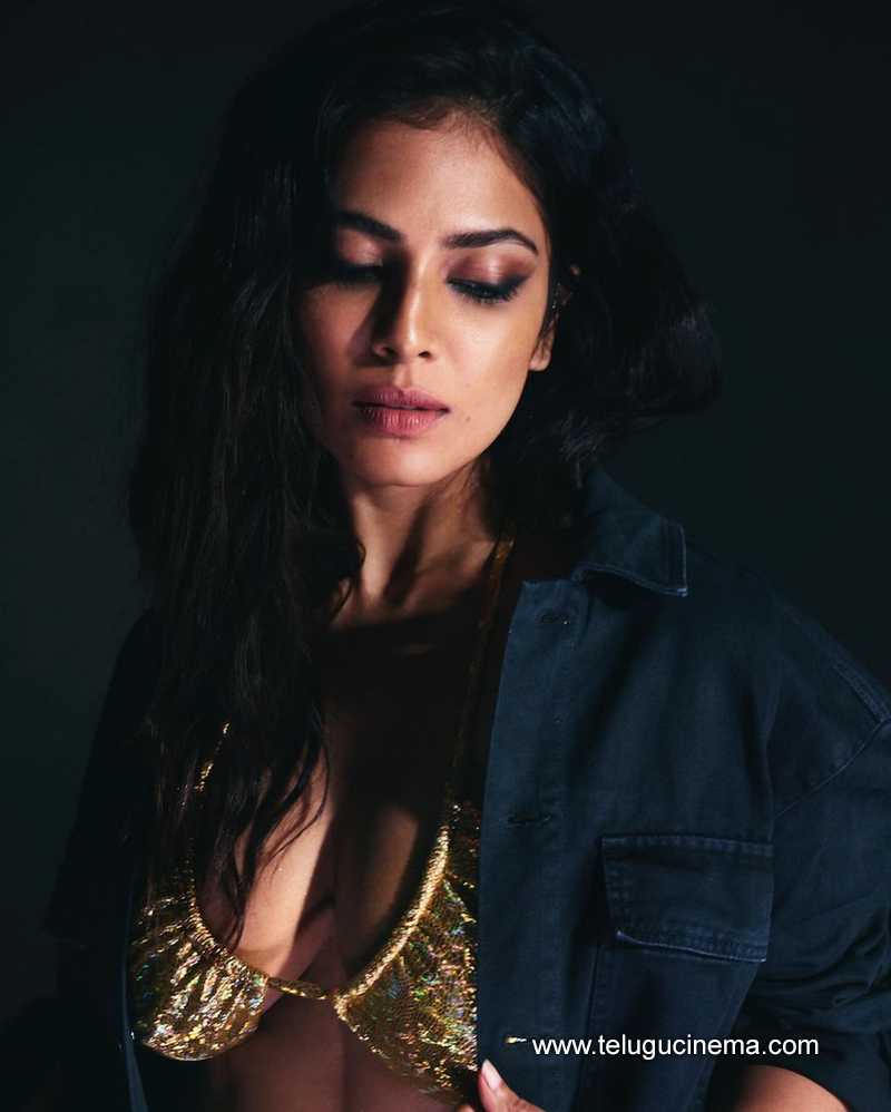 malavika stills 180124 007
