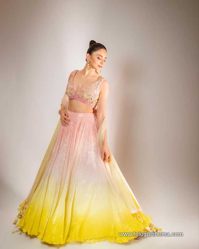 rakul stills 120124 003