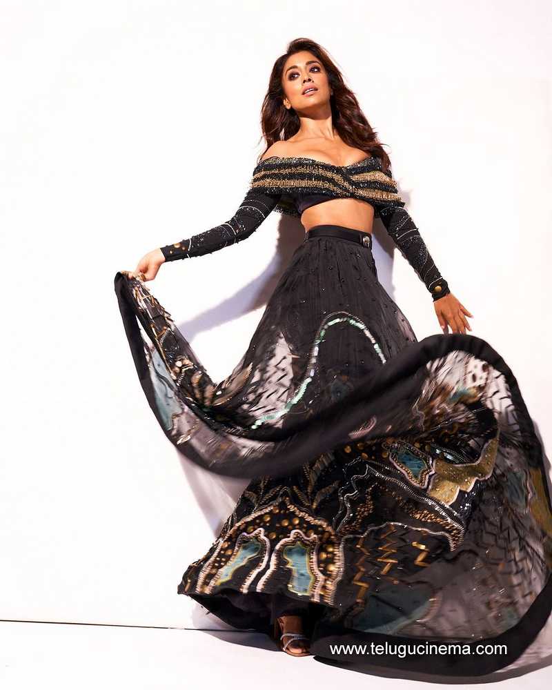 shriyasaran stills 170124 004