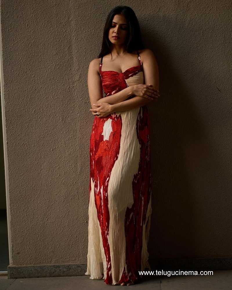 malavika stills 14022400000004