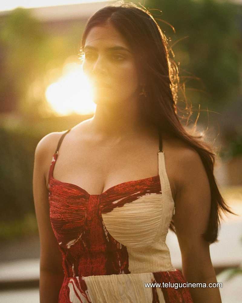 malavika stills 14022400000005