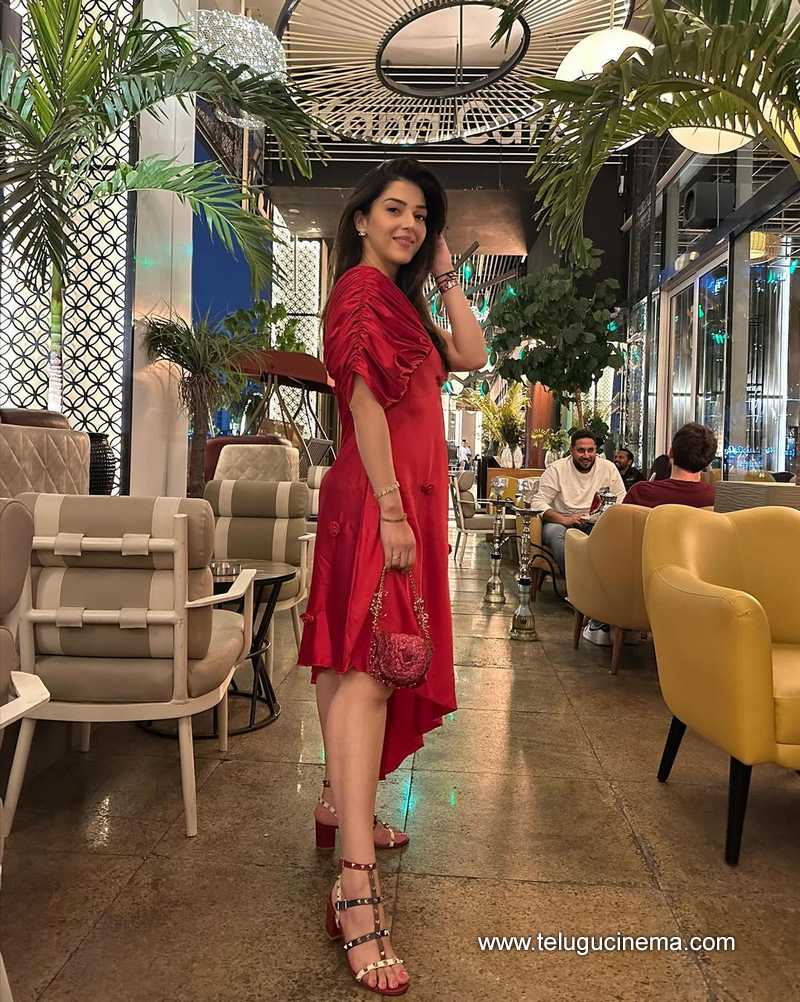 mehreen stills 26022400000002