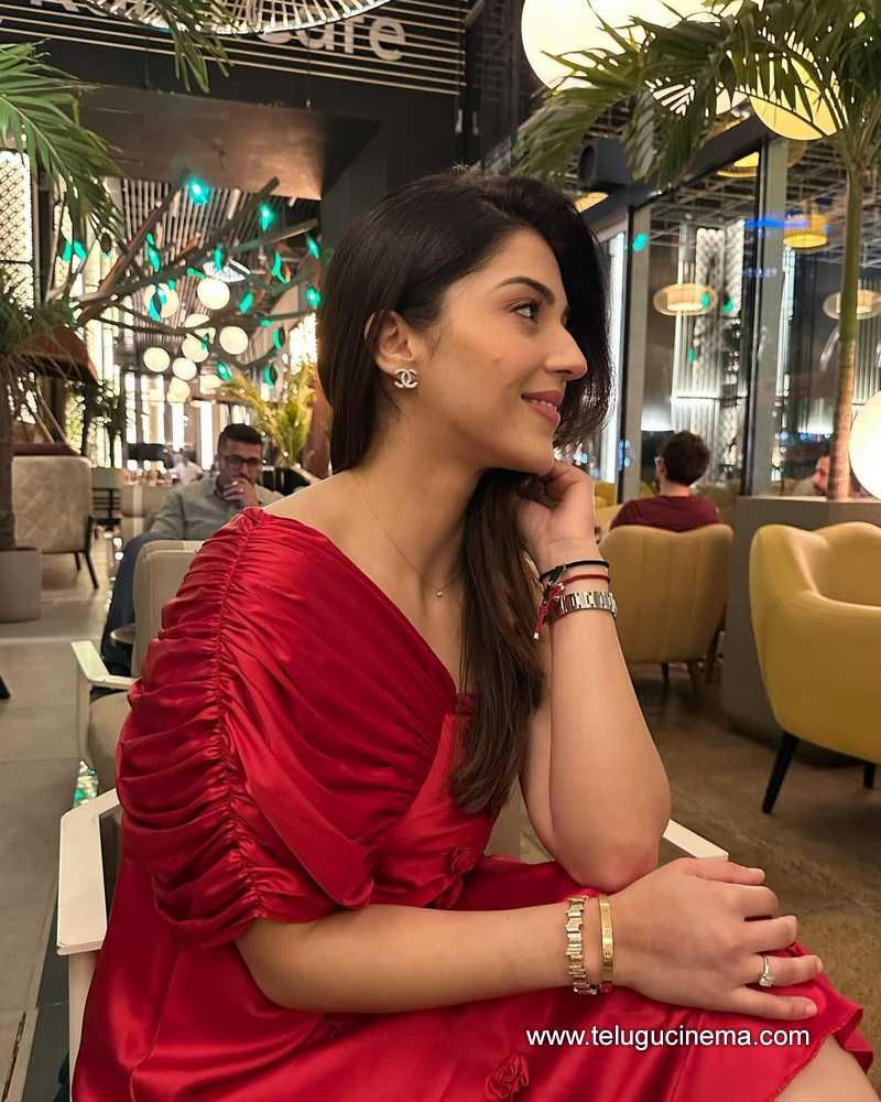 mehreen stills 26022400000003