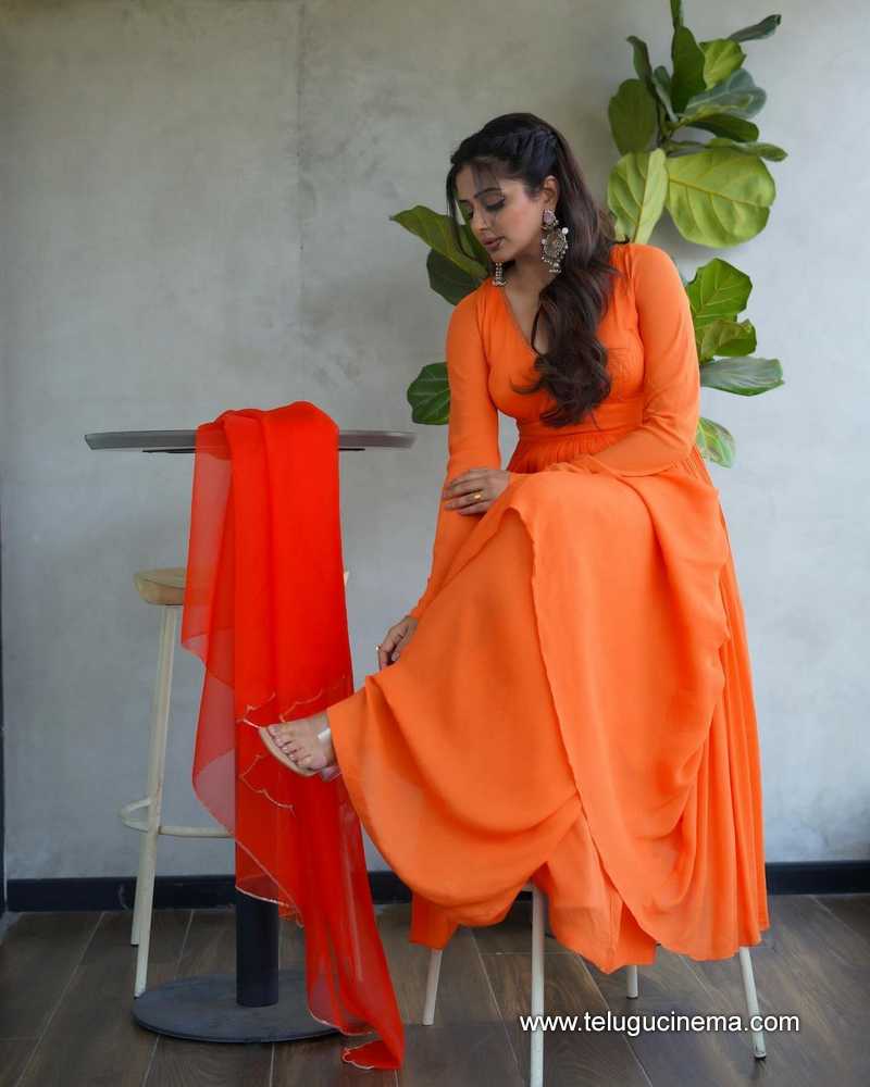 priyamani stills 24022400000007