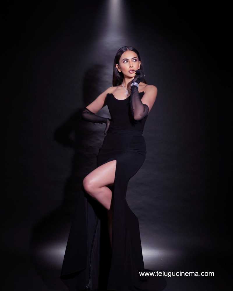 rakul stills 03022400000006