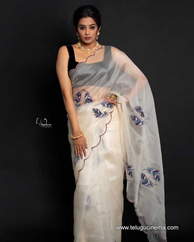 priyamani stills 11032400000003