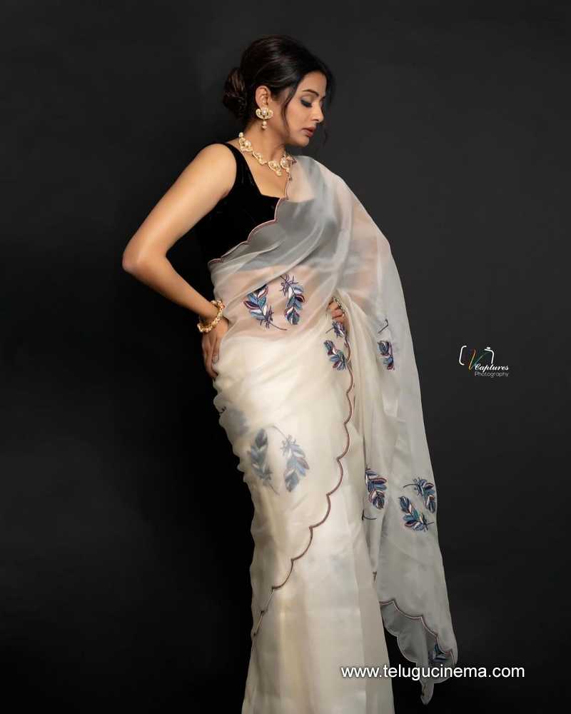 priyamani stills 11032400000004
