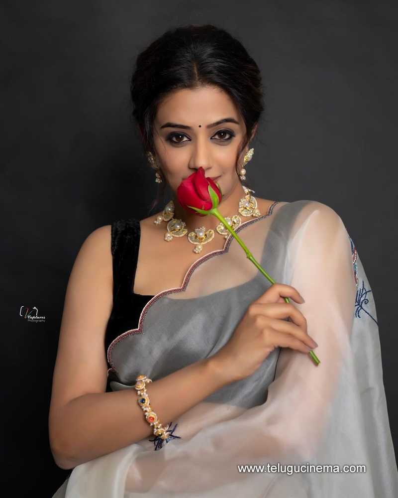 priyamani stills 11032400000006