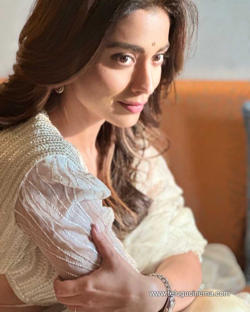 shriyasaran stills 11032400000002