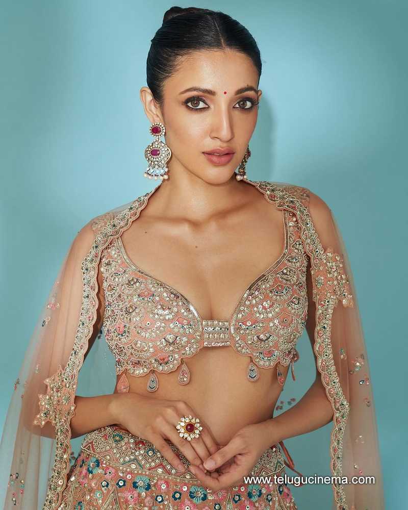 nehassetty stills 010424 02