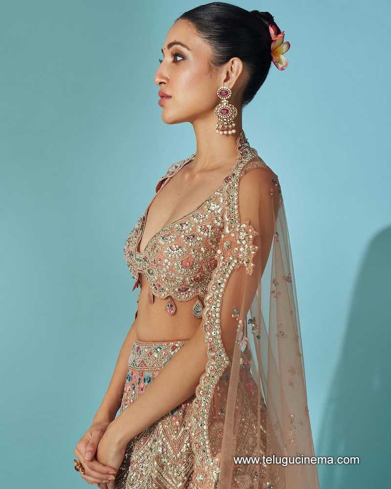 nehassetty stills 010424 03