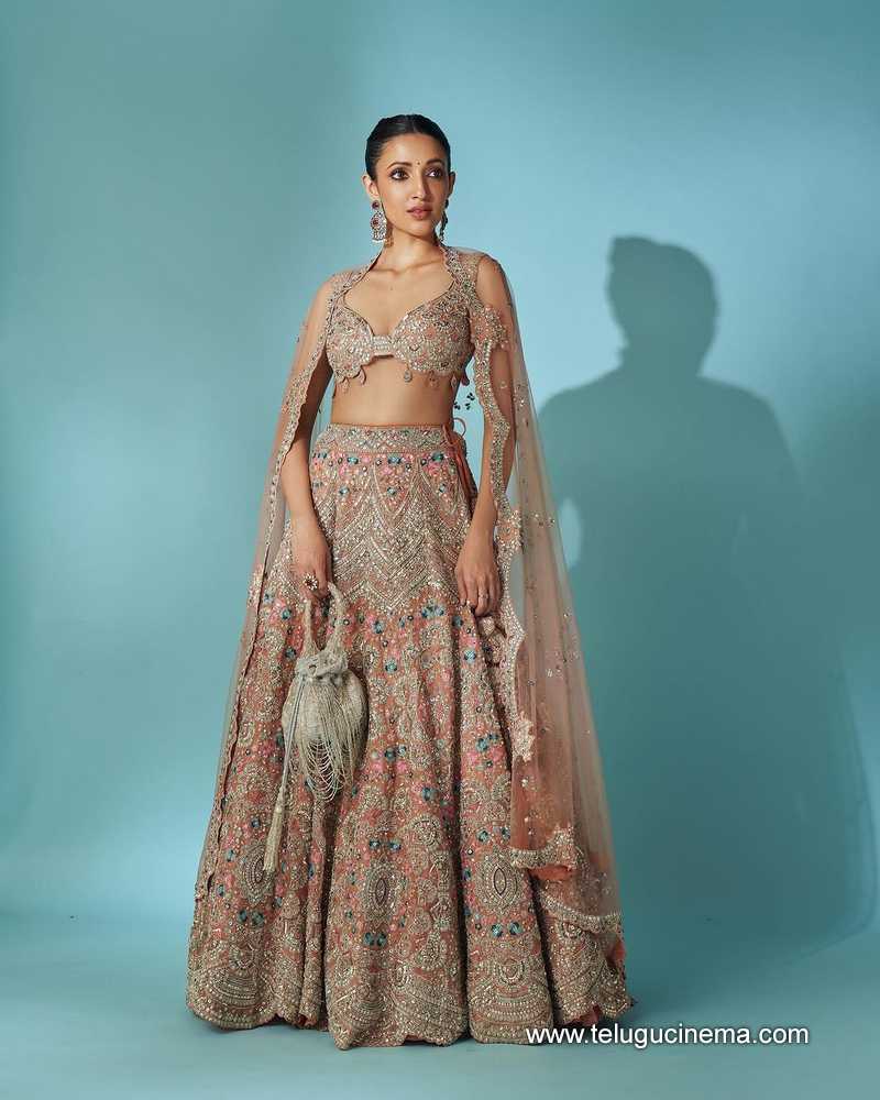 nehassetty stills 010424 04