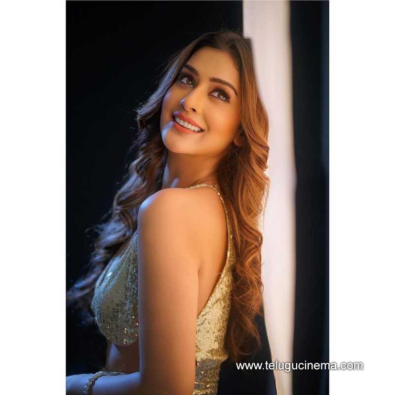 paayal stills 160424 03