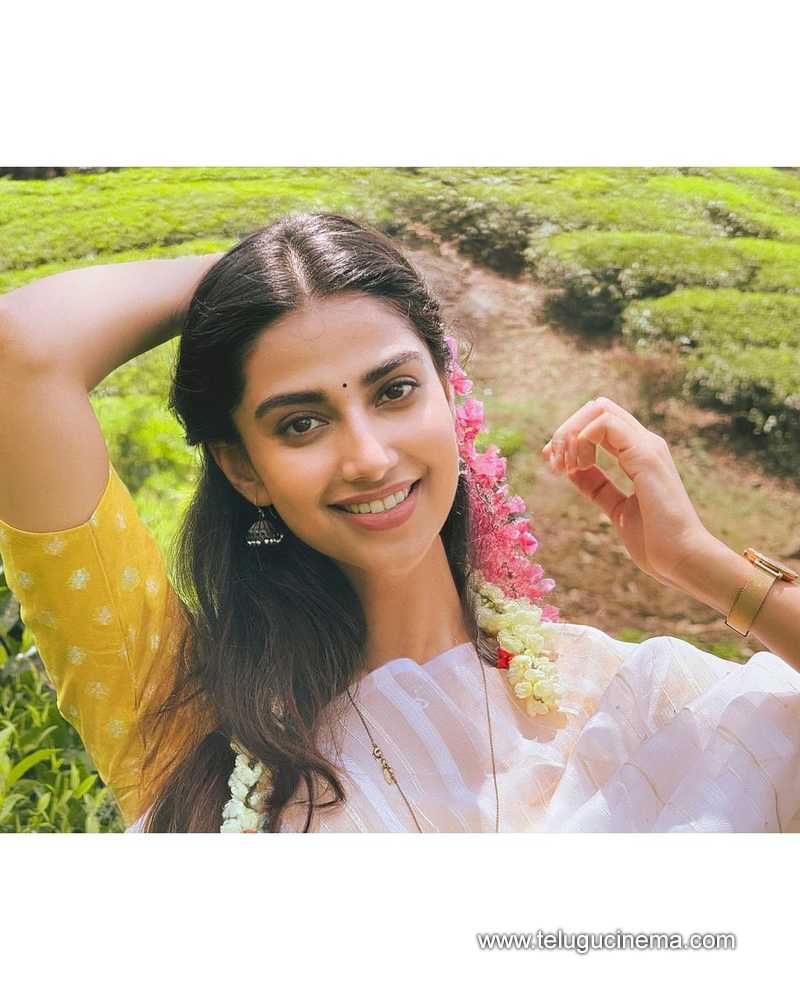meenakshi stills 290524 02