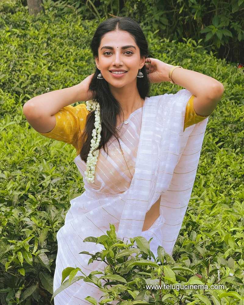 meenakshi stills 290524 04