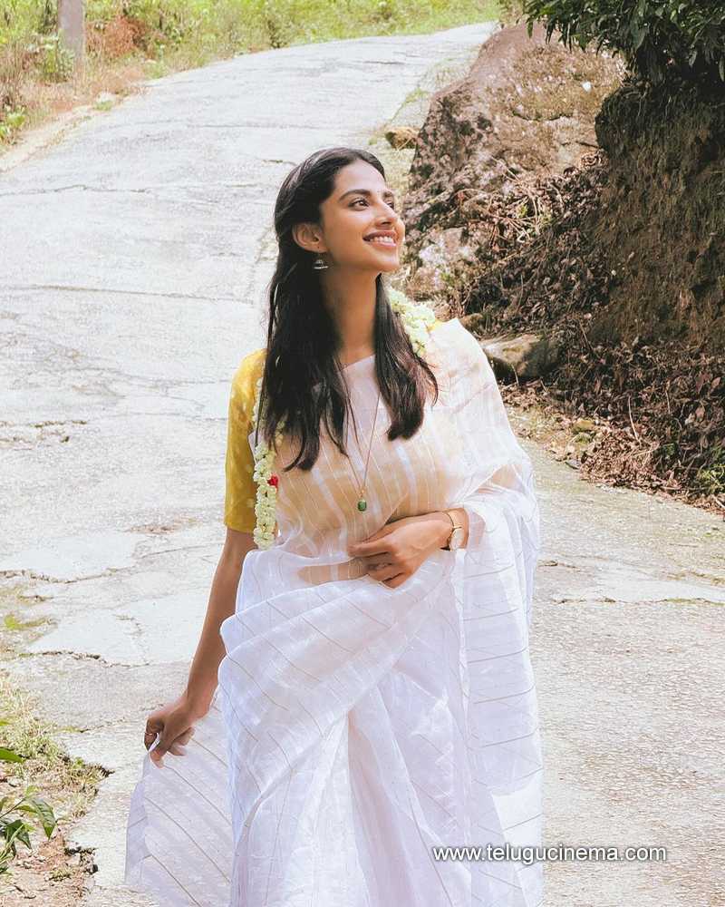 meenakshi stills 290524 05