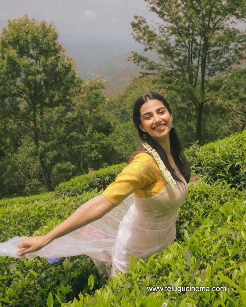 meenakshi stills 290524 06