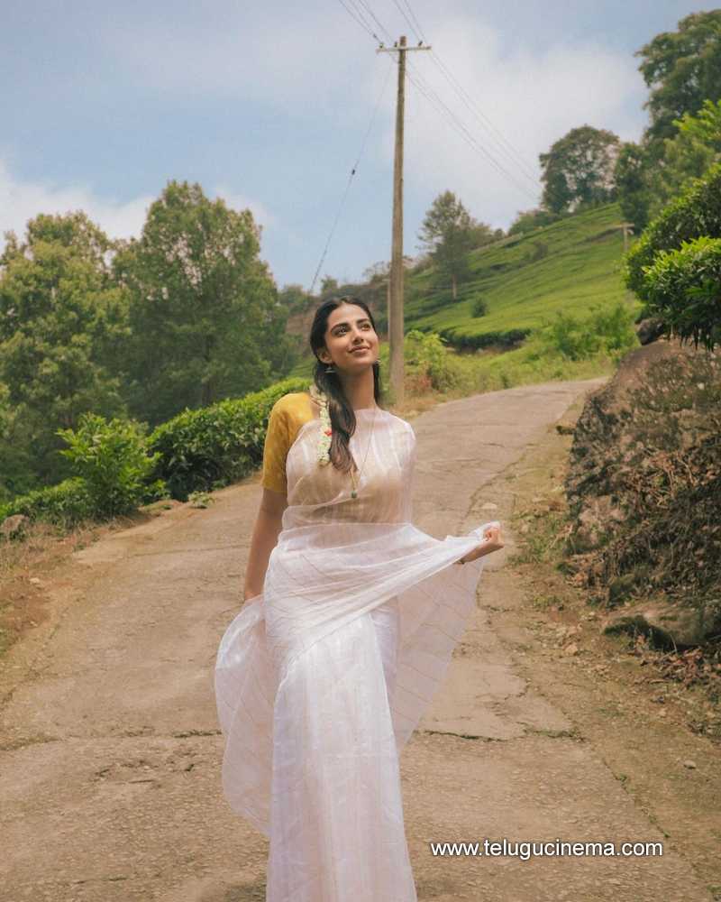 meenakshi stills 290524 07