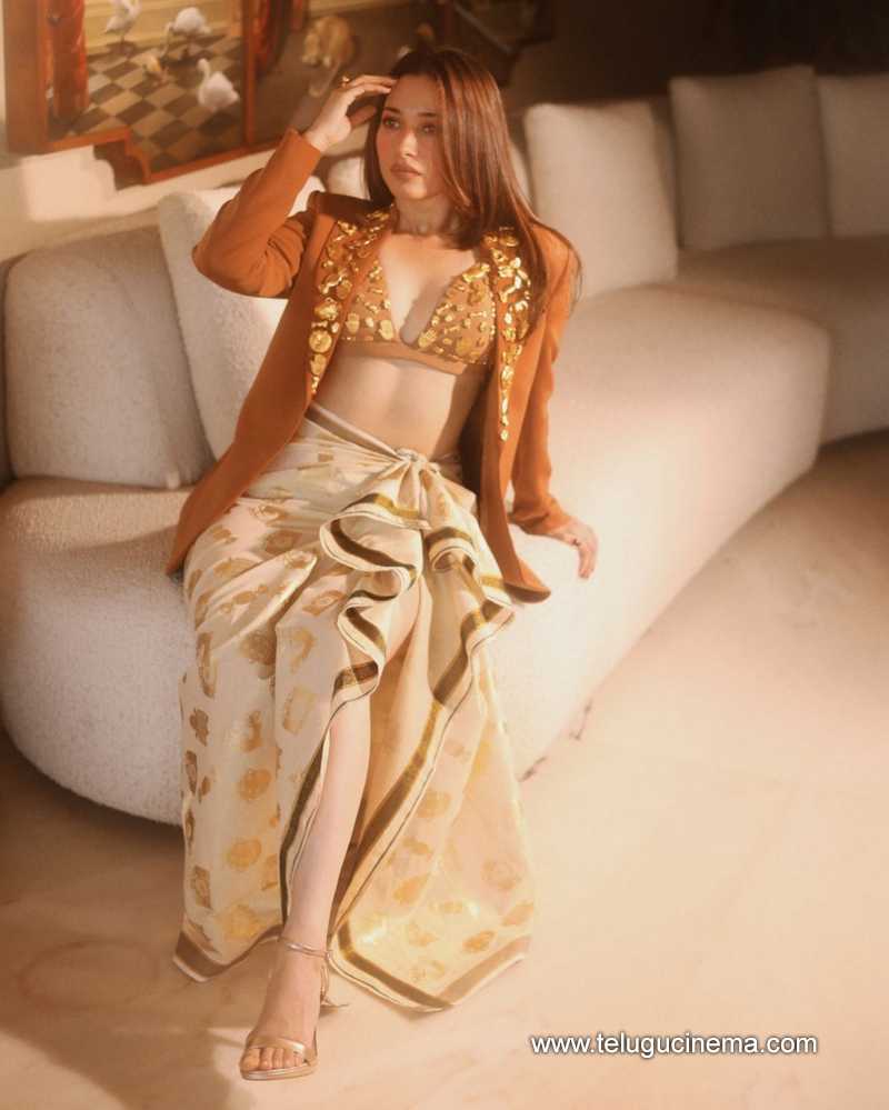 tamannahbhatia stills 290524 02