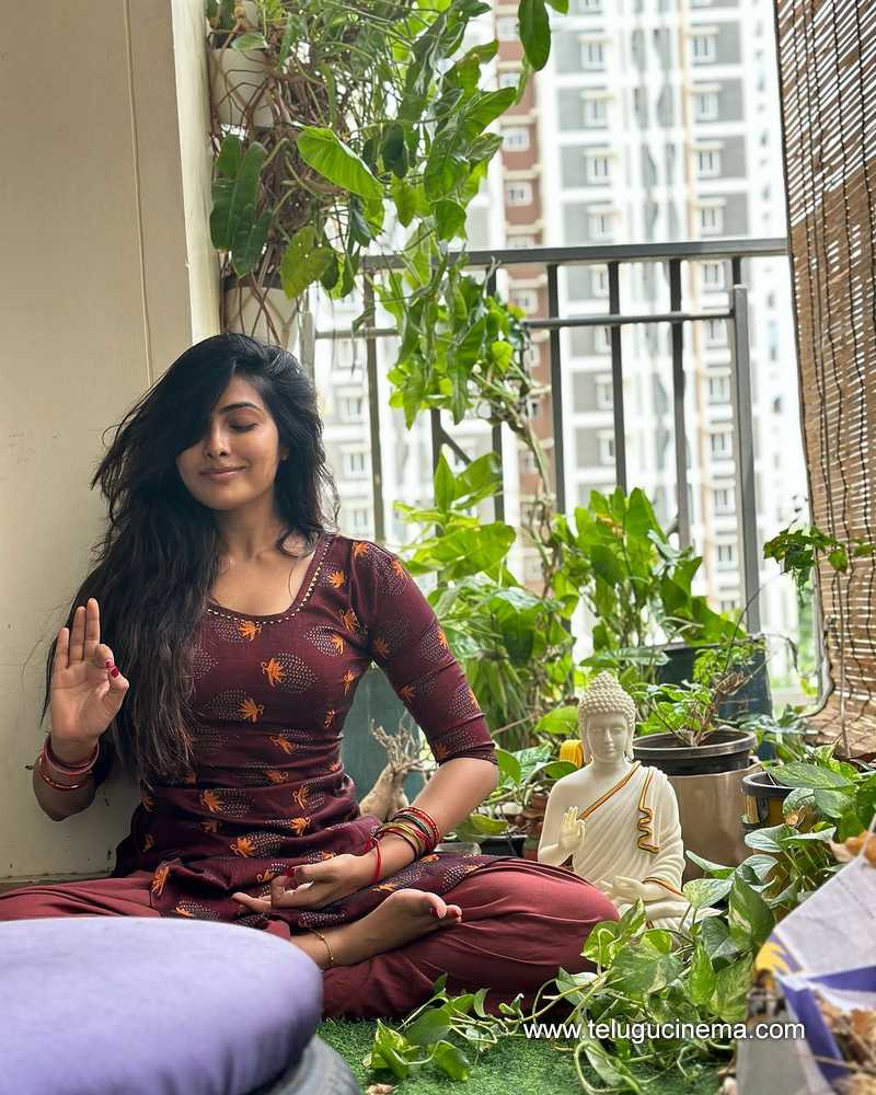 divi stills 080624 04