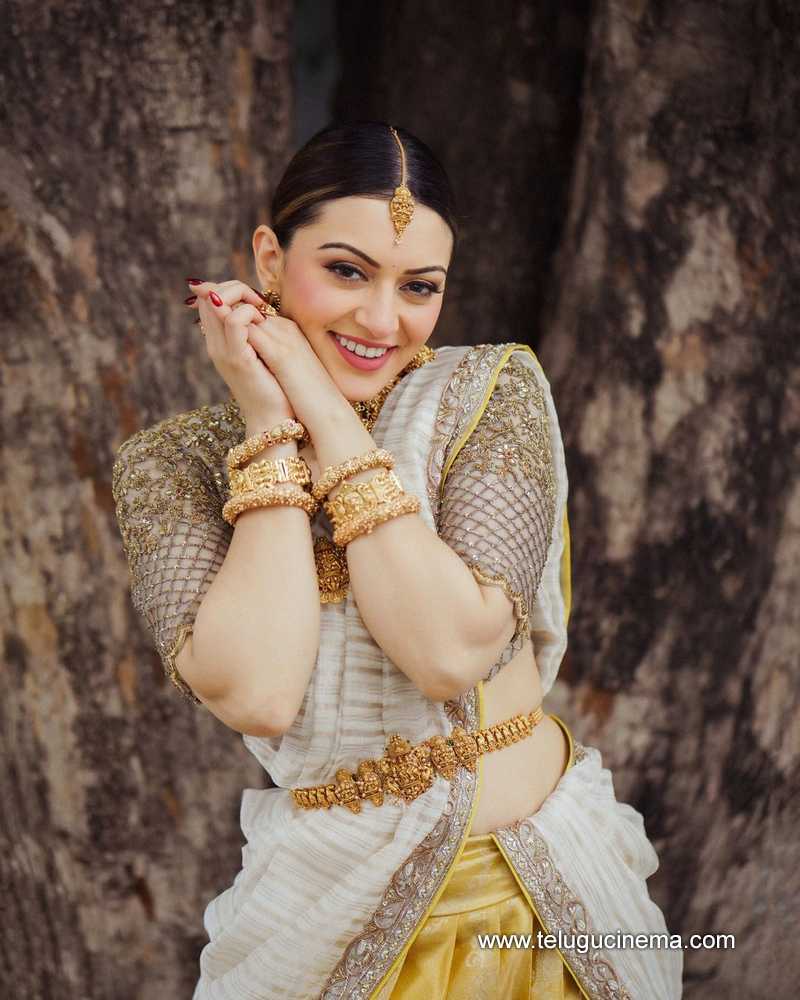 hansika stills 200624 04