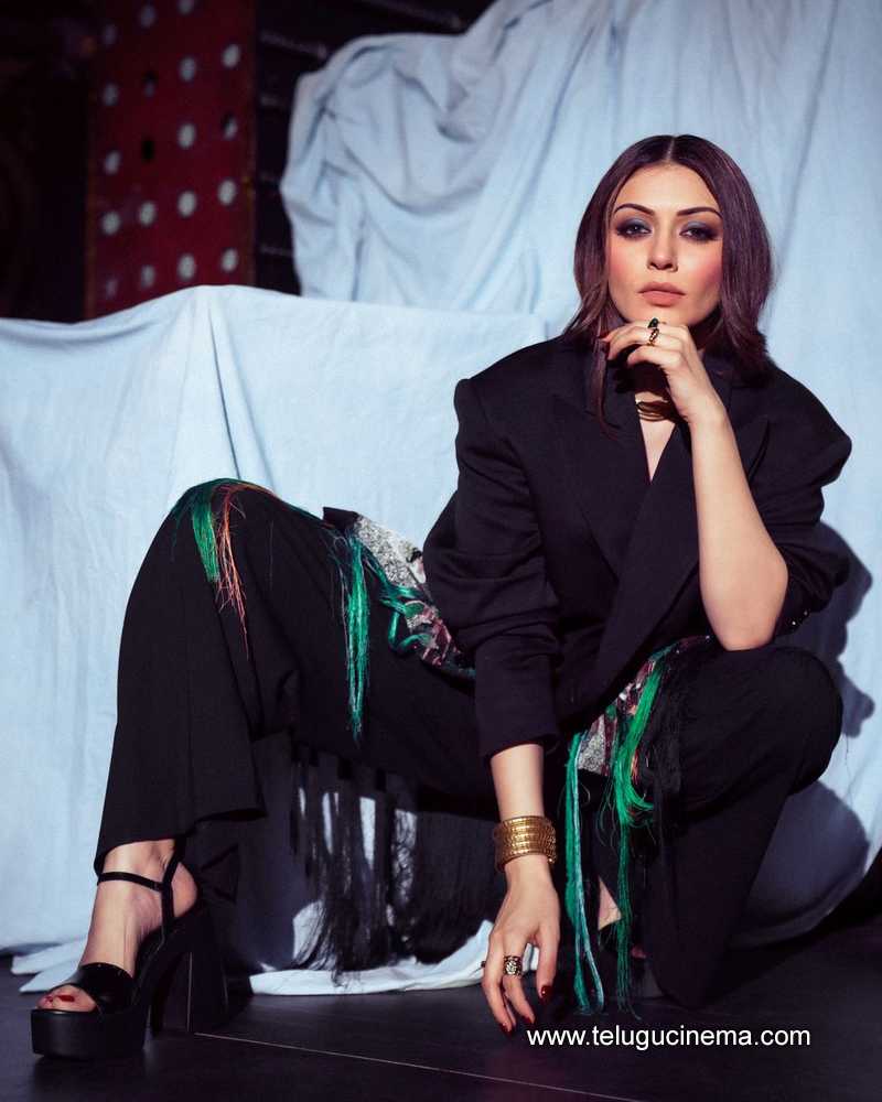 hansika stills 260624 08