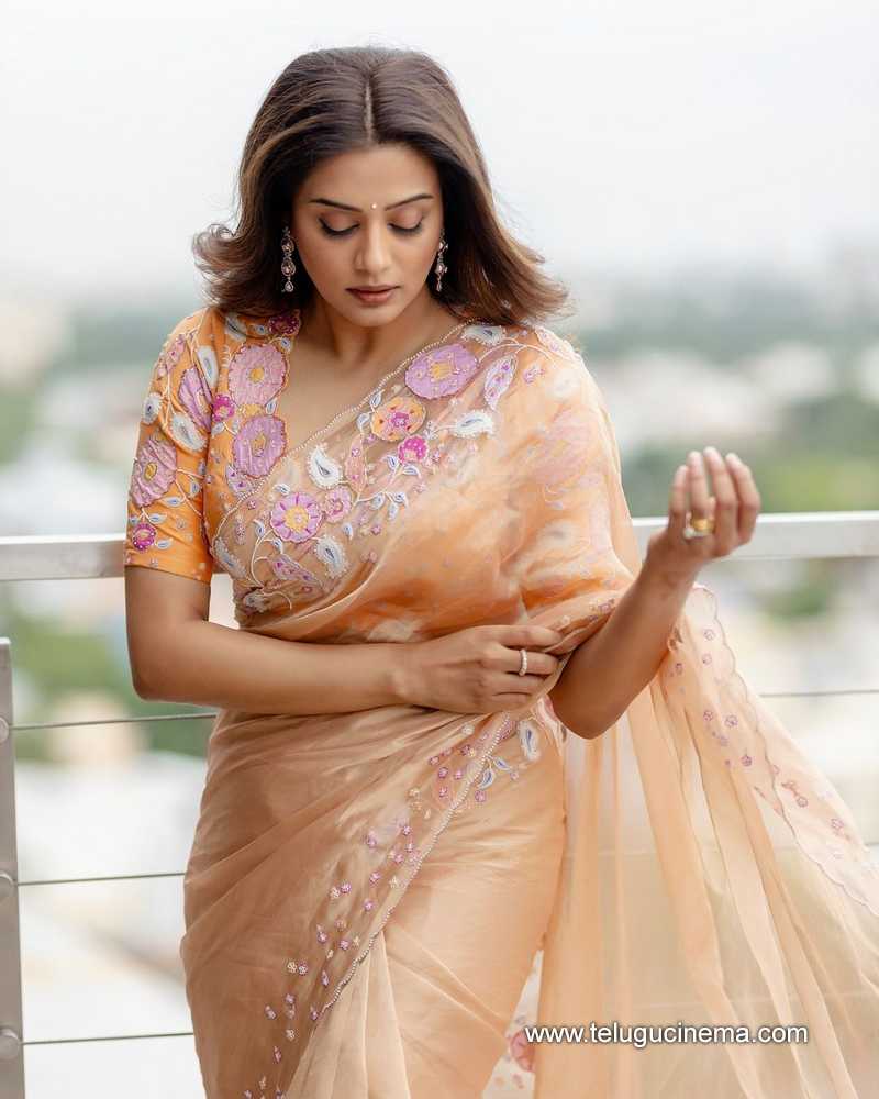 priyamani stills 280624 06
