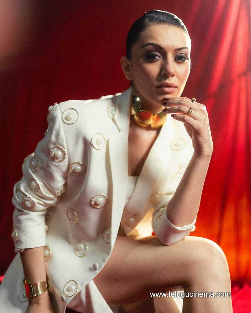 hansika stills 170724 02