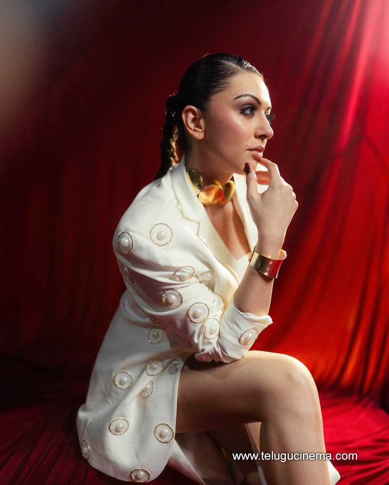 hansika stills 170724 05