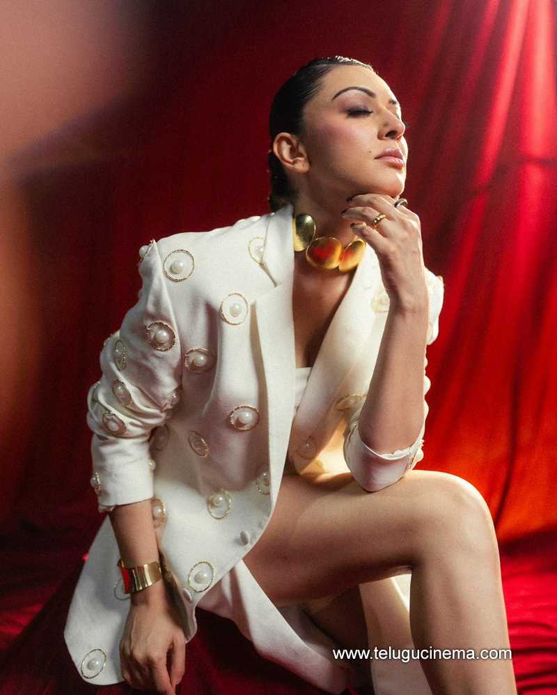 hansika stills 170724 09