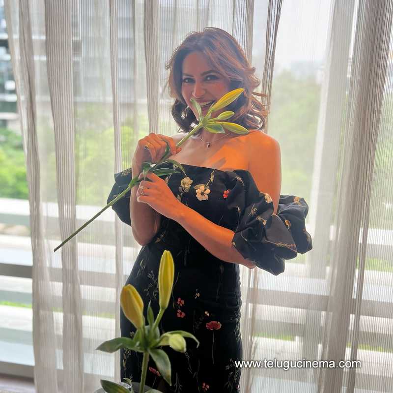 kriti stills 150724 02