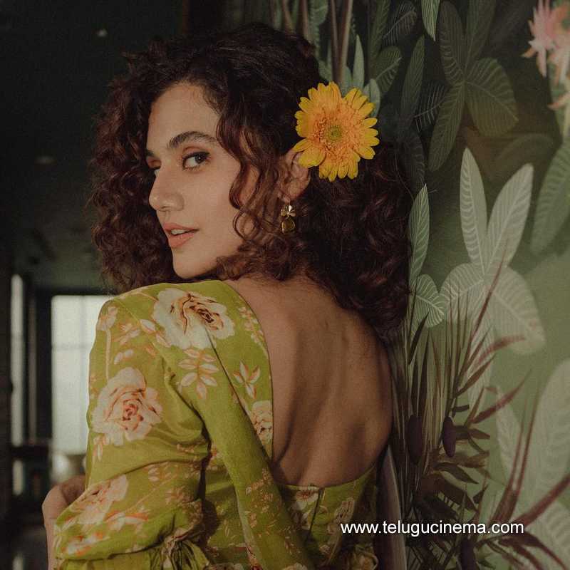 tapsee stills 260724 02