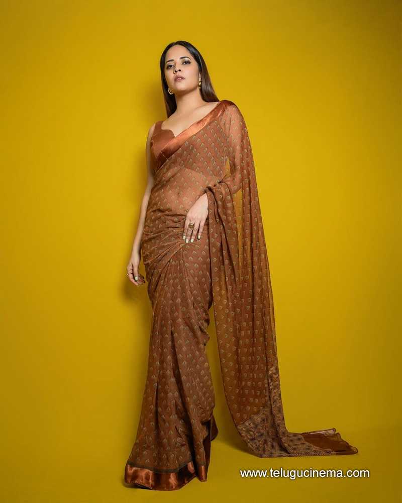 anasuya stills 130824 03